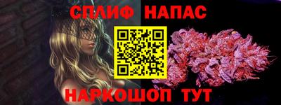стафф Славянск-на-Кубани
