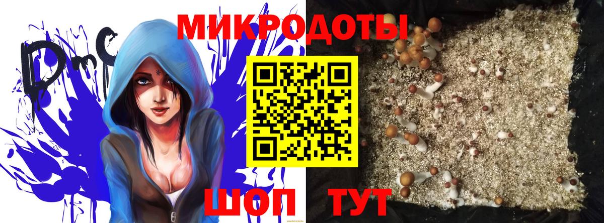 Крымск  Галлюциногенные грибы Psilocybine cubensis  где купить наркотик  Вход с VPN 