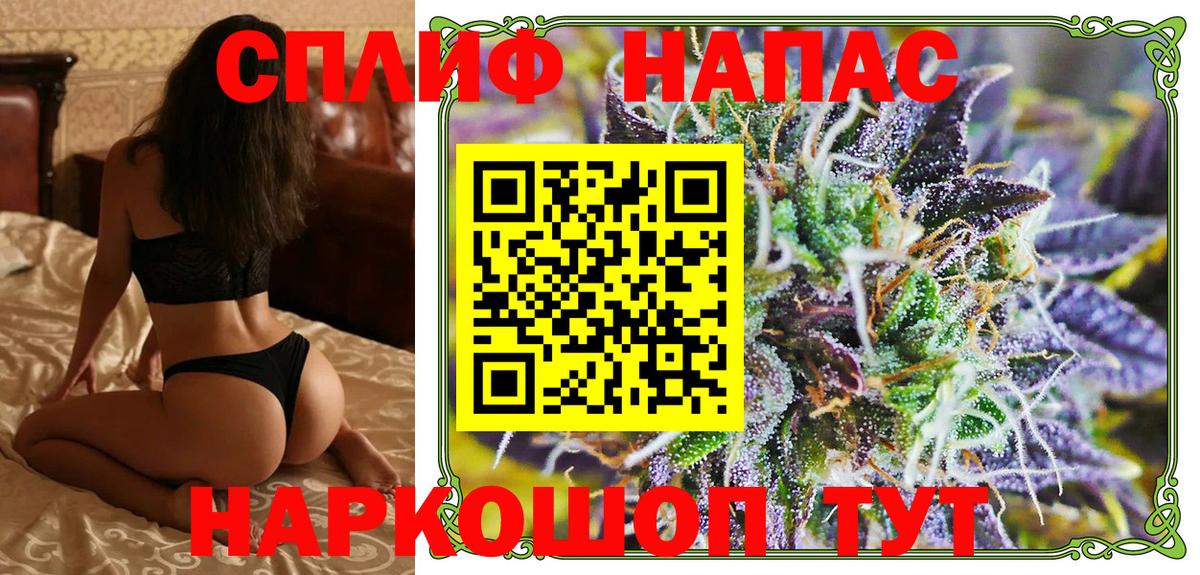 Конопля сатива Крымск